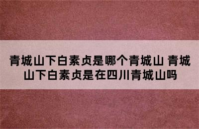 青城山下白素贞是哪个青城山 青城山下白素贞是在四川青城山吗